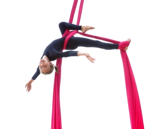 aerial class for young women TEASE